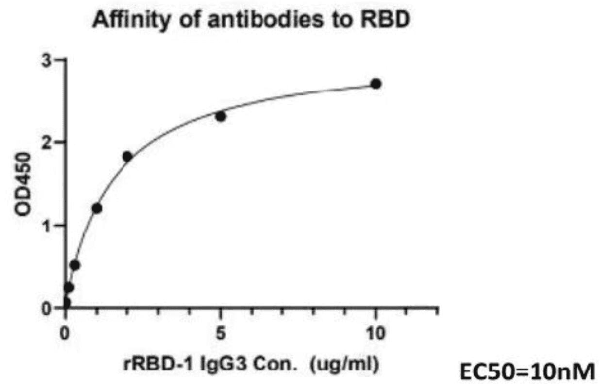 2019-nCoV S Protein(RBD) Antibody